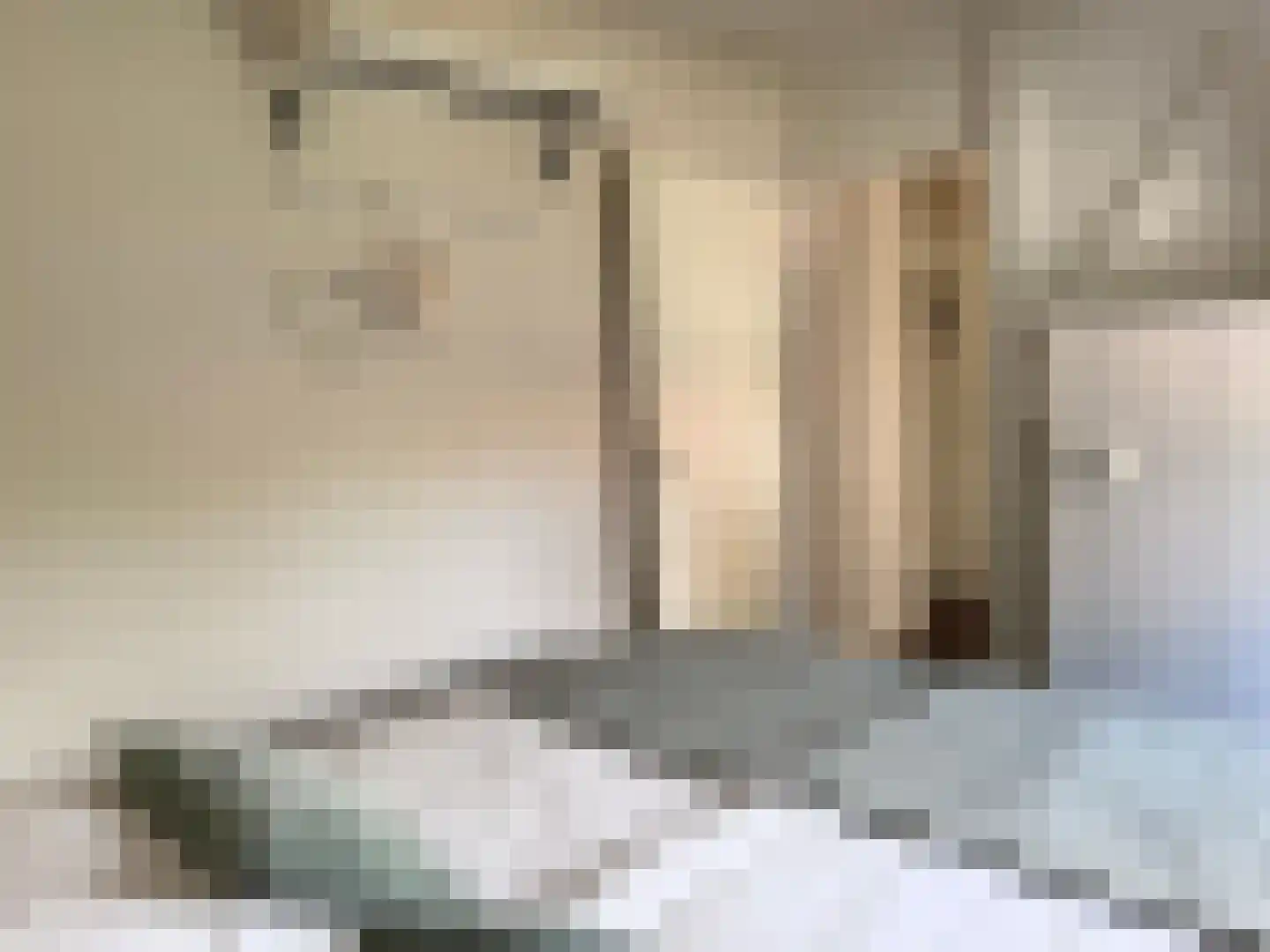 Parallelweg 10 52 Lievelde thumbnail 9