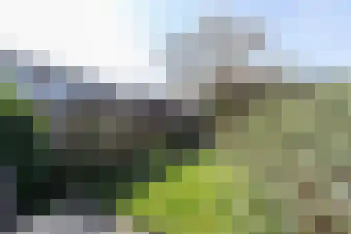 Parallelweg 10 Alblasserdam thumbnail 17