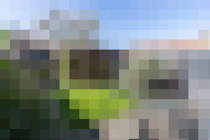 Parallelweg 10 Alblasserdam thumbnail 4