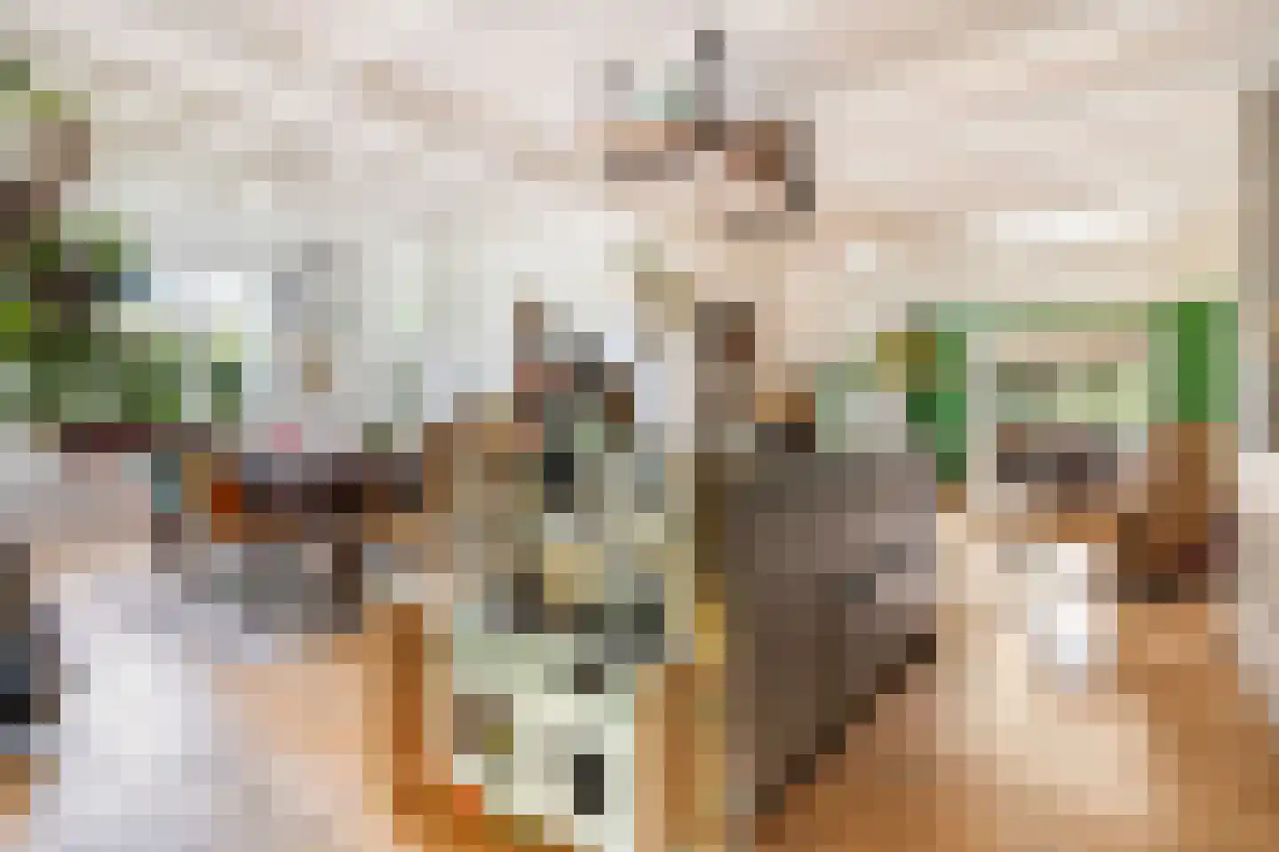 Parallelweg 10 Bellingwolde thumbnail 13