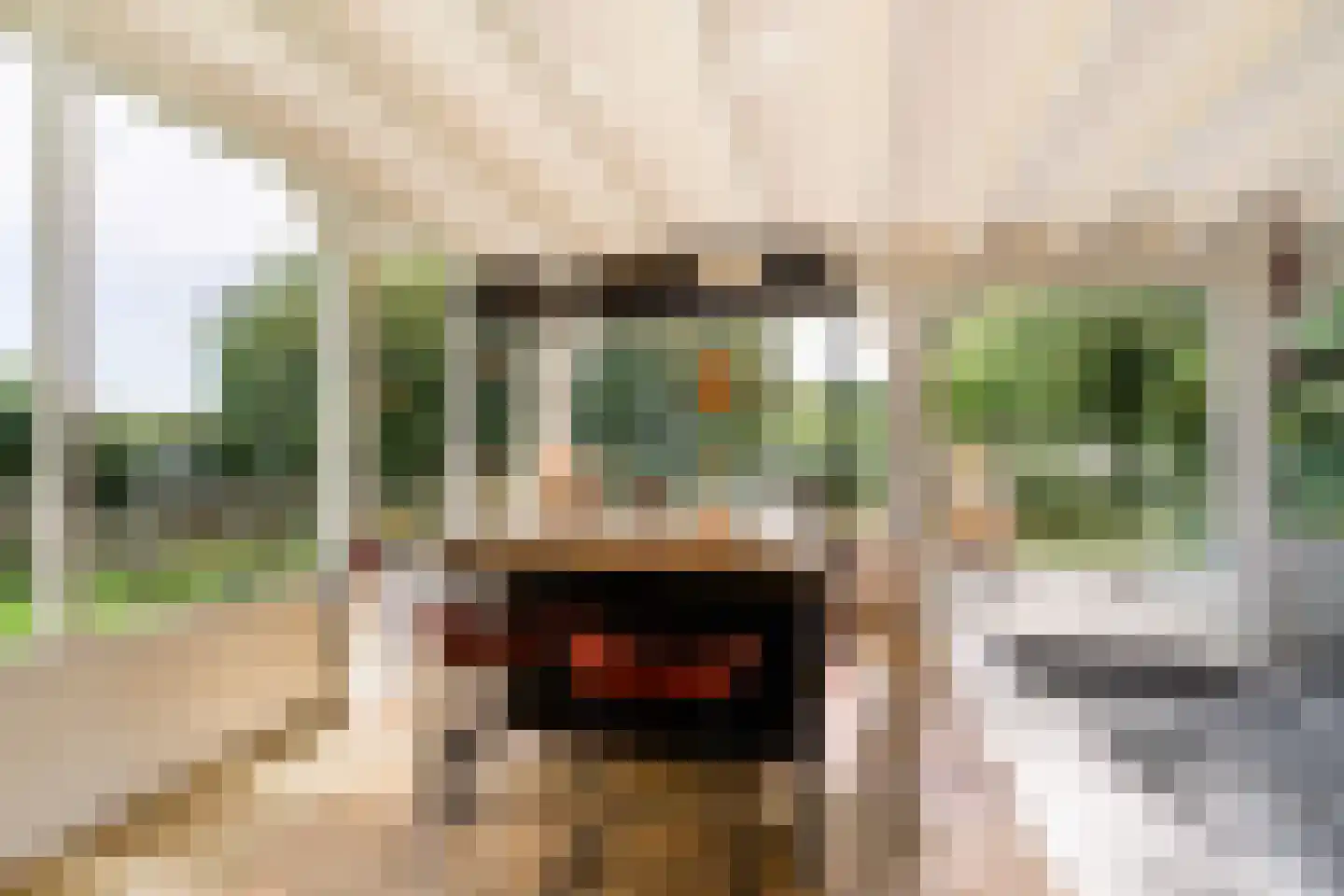 Parallelweg 10 Bellingwolde thumbnail 23