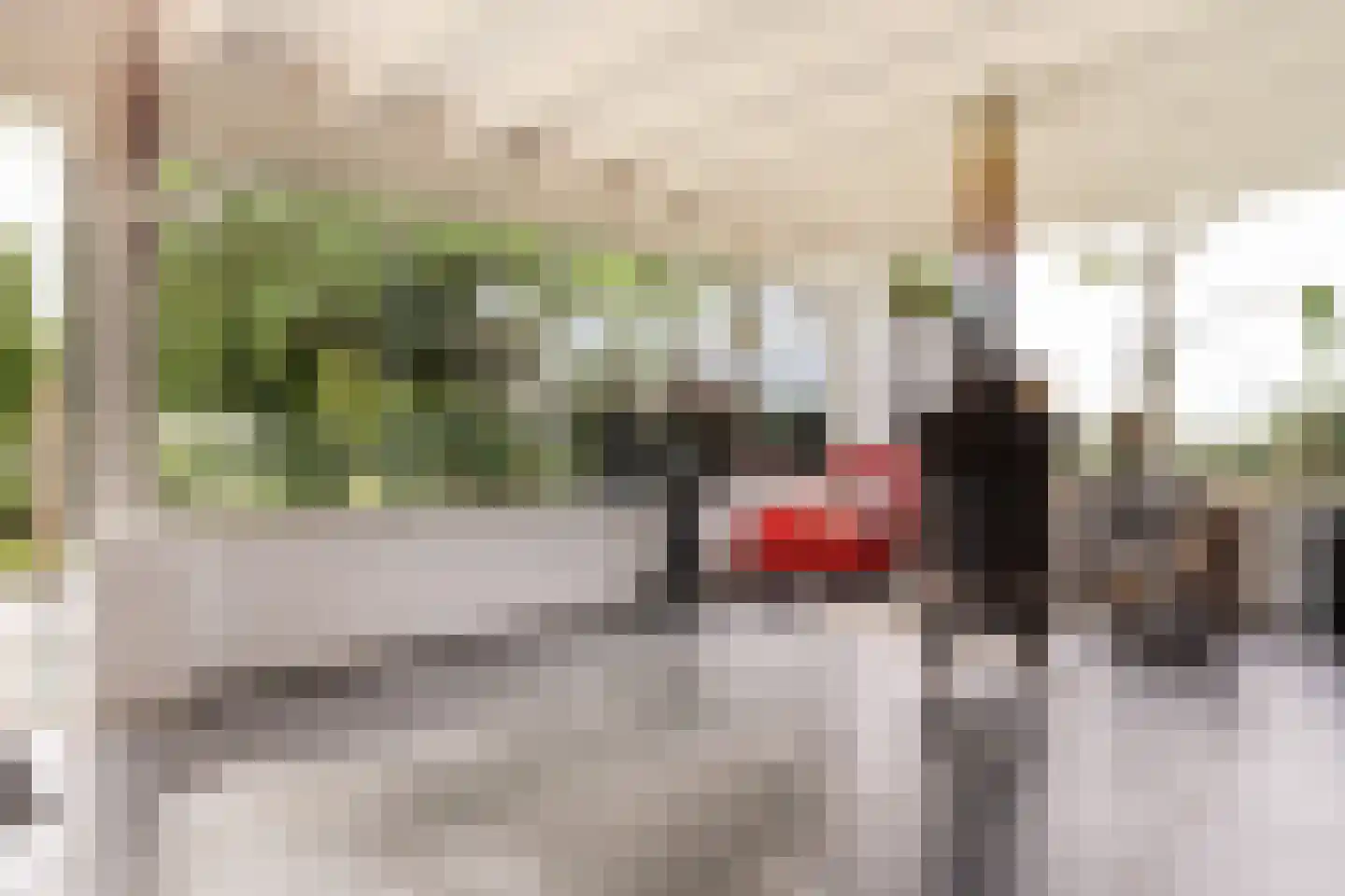 Parallelweg 10 Bellingwolde thumbnail 24