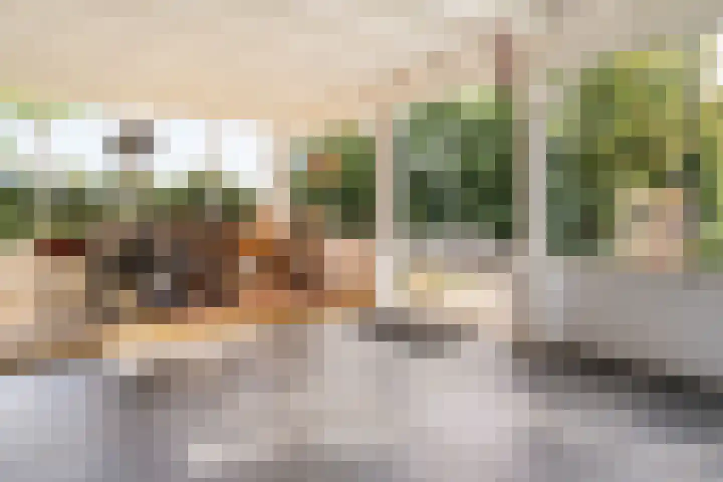 Parallelweg 10 Bellingwolde thumbnail 25