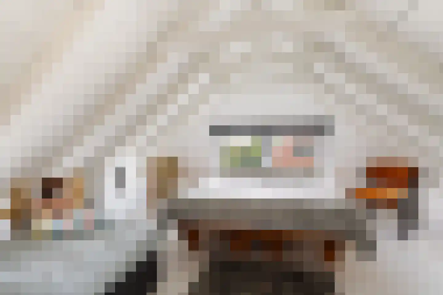 Parallelweg 10 Bellingwolde thumbnail 37