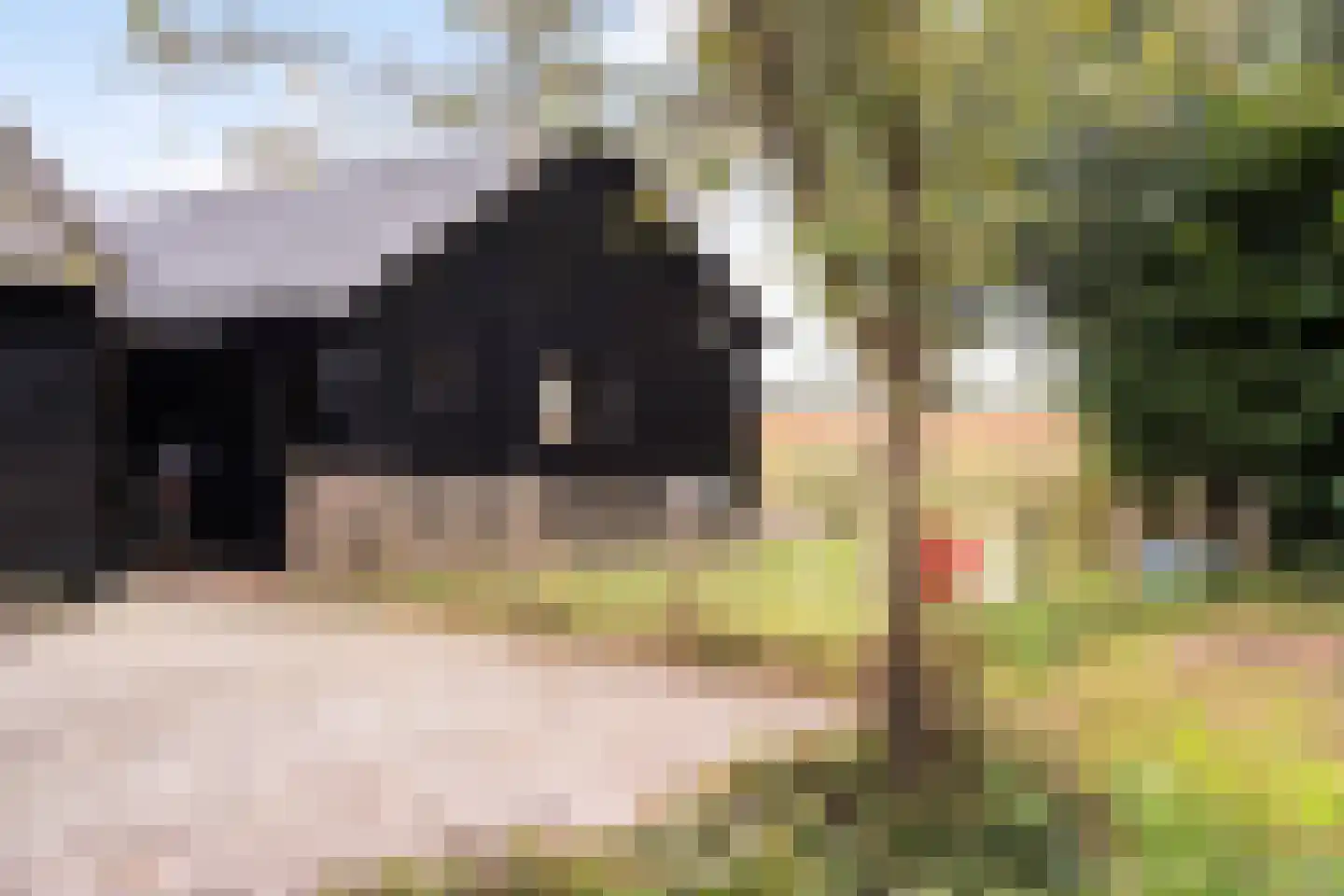 Parallelweg 10 Bellingwolde thumbnail 40