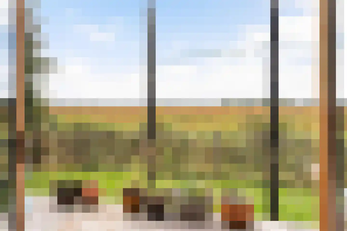 Parallelweg 10 Bellingwolde thumbnail 49