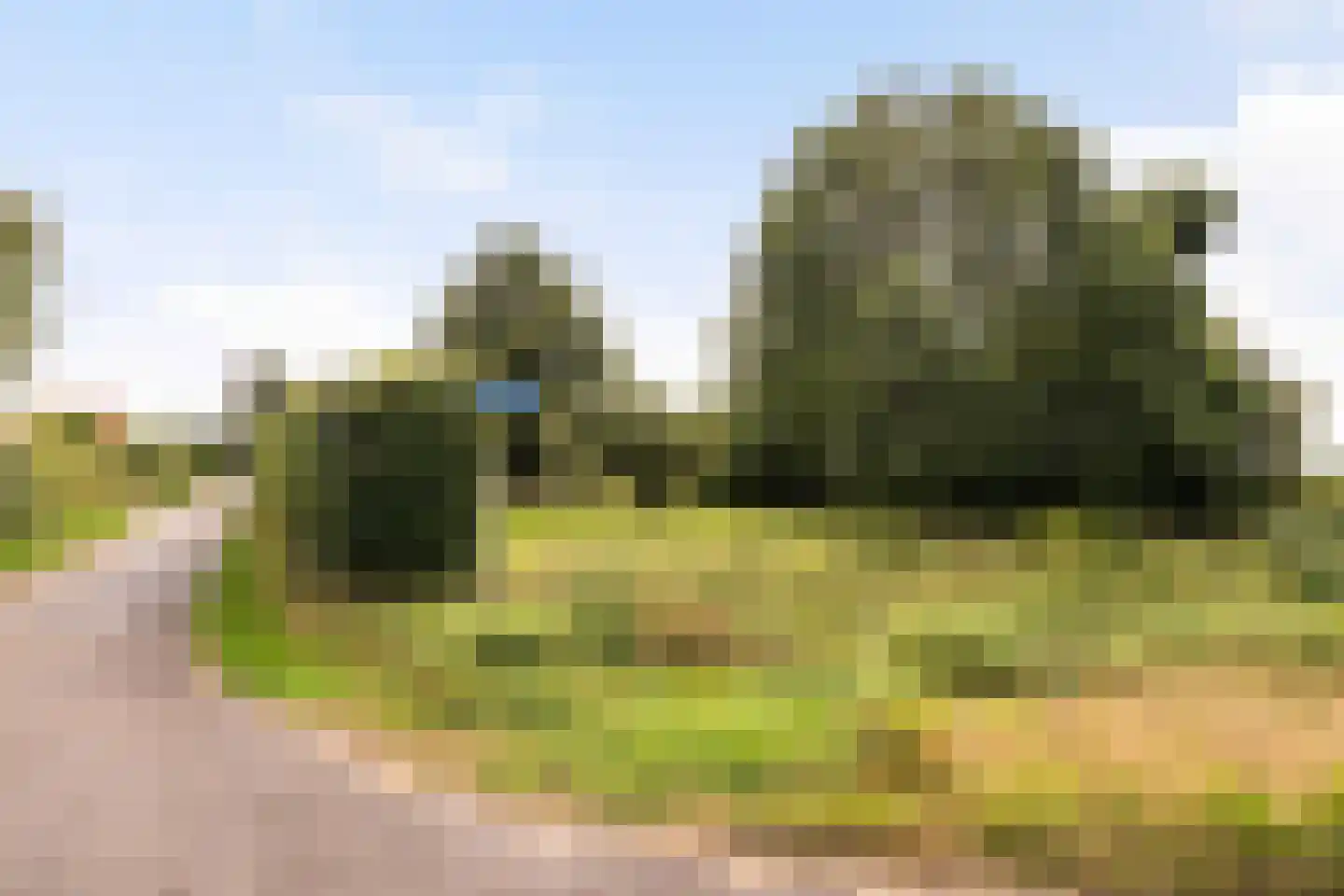 Parallelweg 10 Bellingwolde thumbnail 5