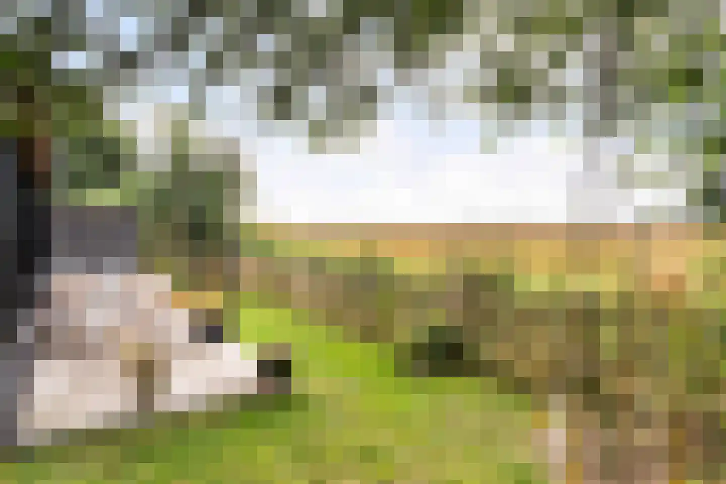 Parallelweg 10 Bellingwolde thumbnail 50