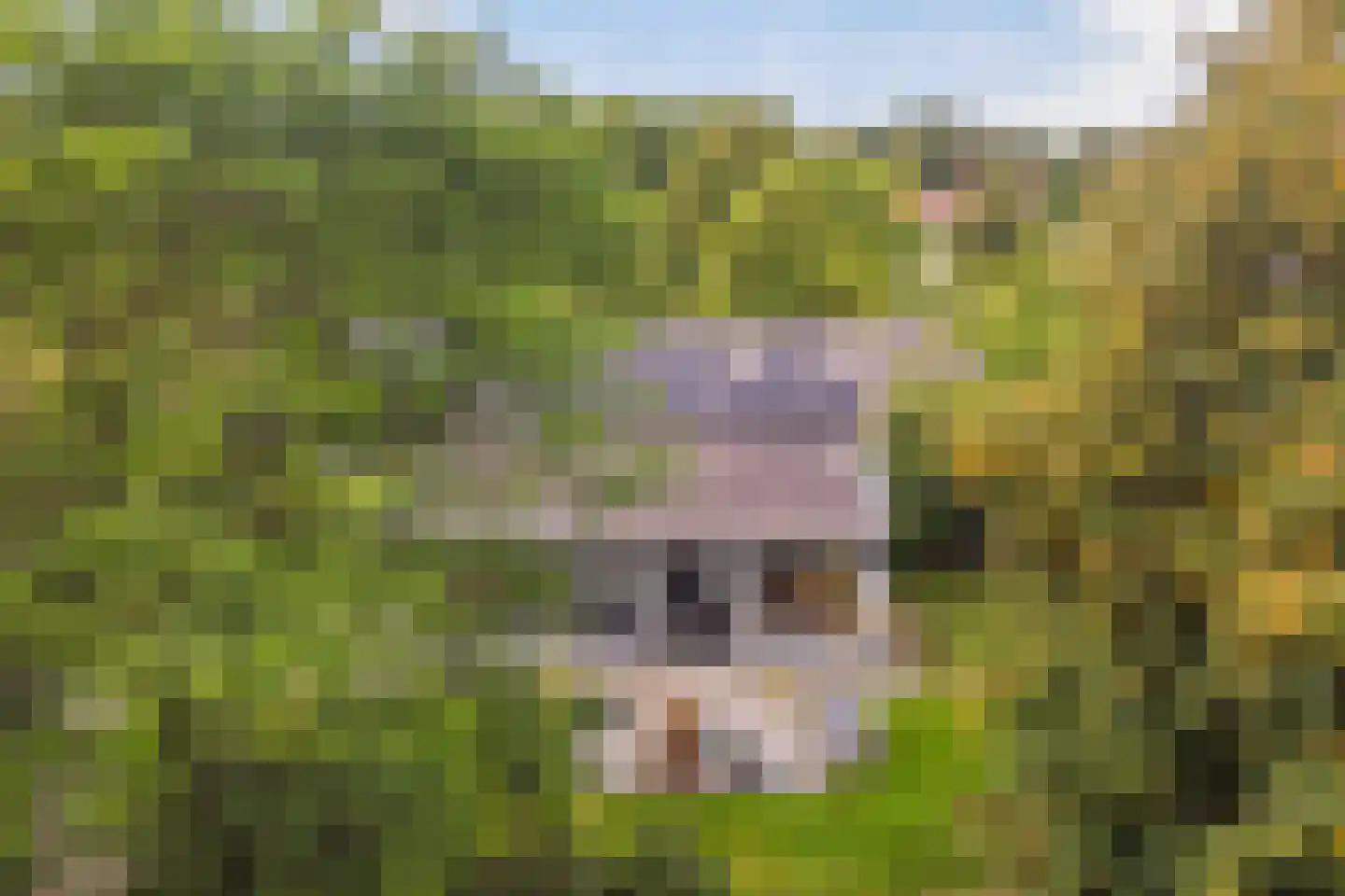 Parallelweg 10 Bellingwolde thumbnail 54