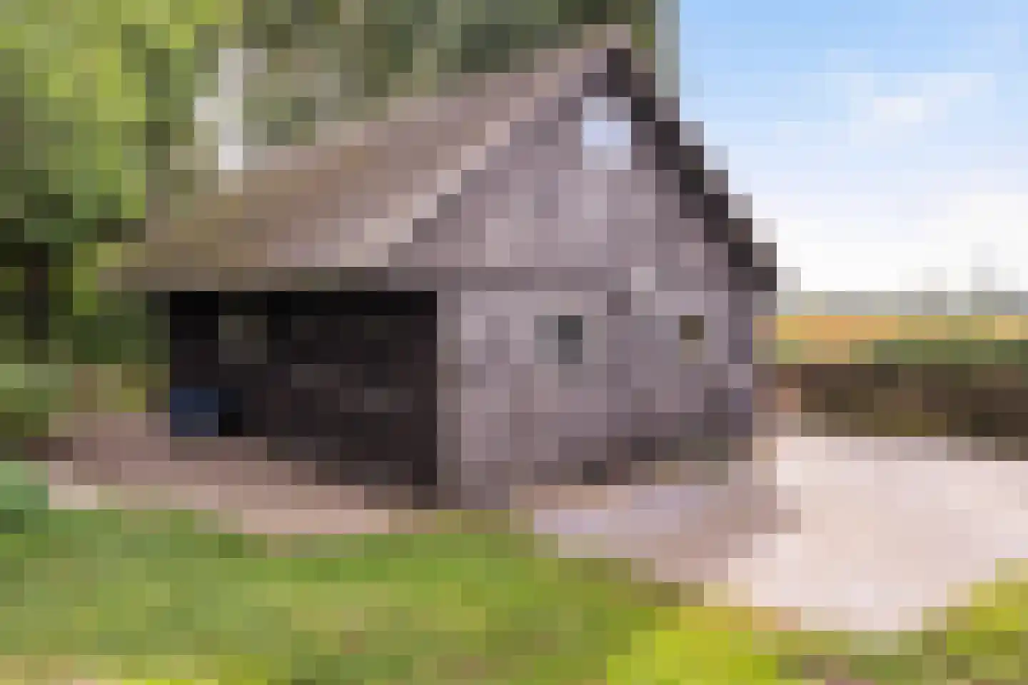 Parallelweg 10 Bellingwolde thumbnail 55