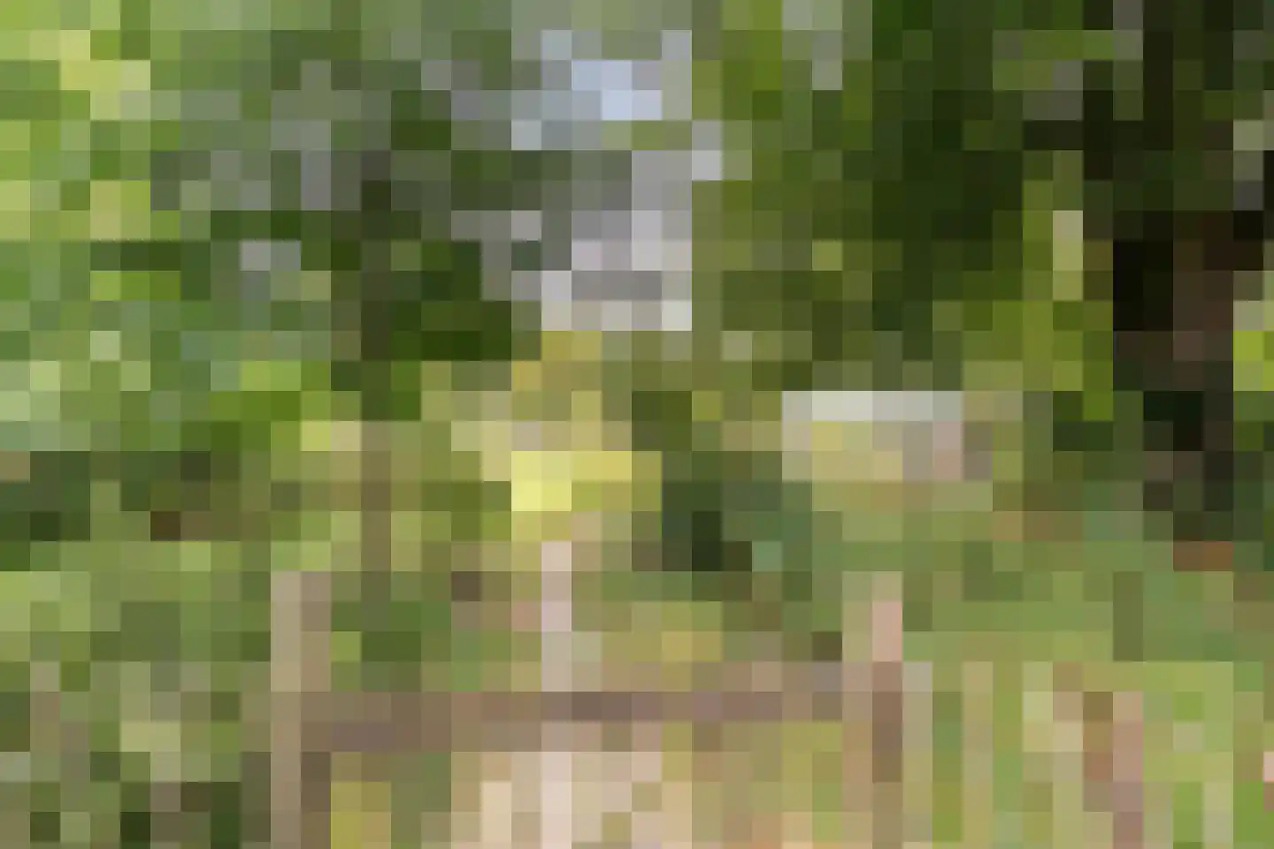 Parallelweg 10 Bellingwolde thumbnail 56