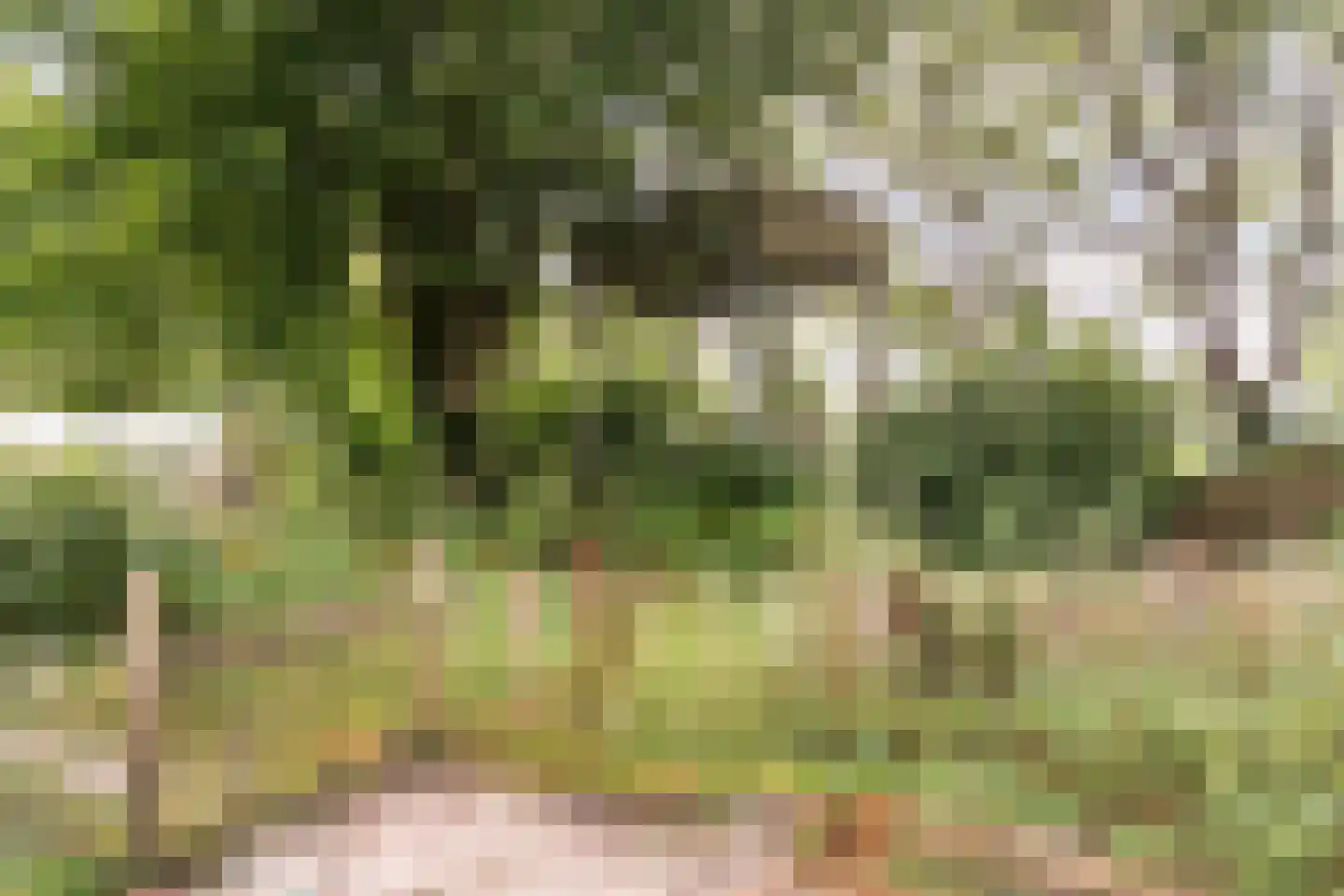 Parallelweg 10 Bellingwolde thumbnail 57