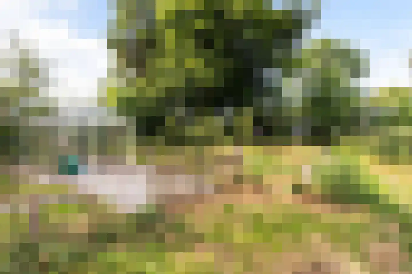 Parallelweg 10 Bellingwolde thumbnail 58