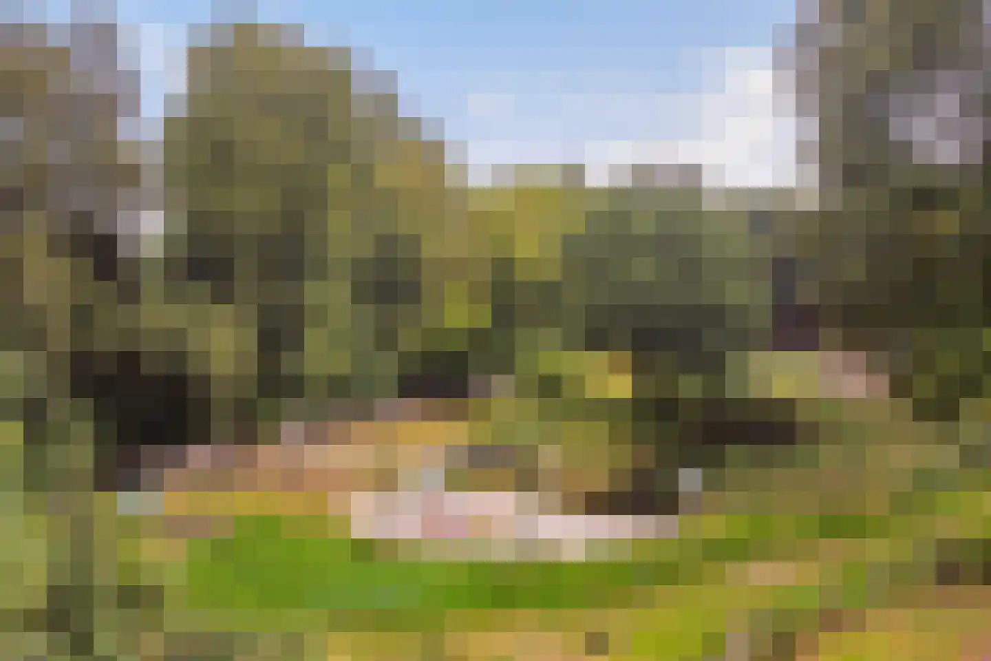Parallelweg 10 Bellingwolde thumbnail 59
