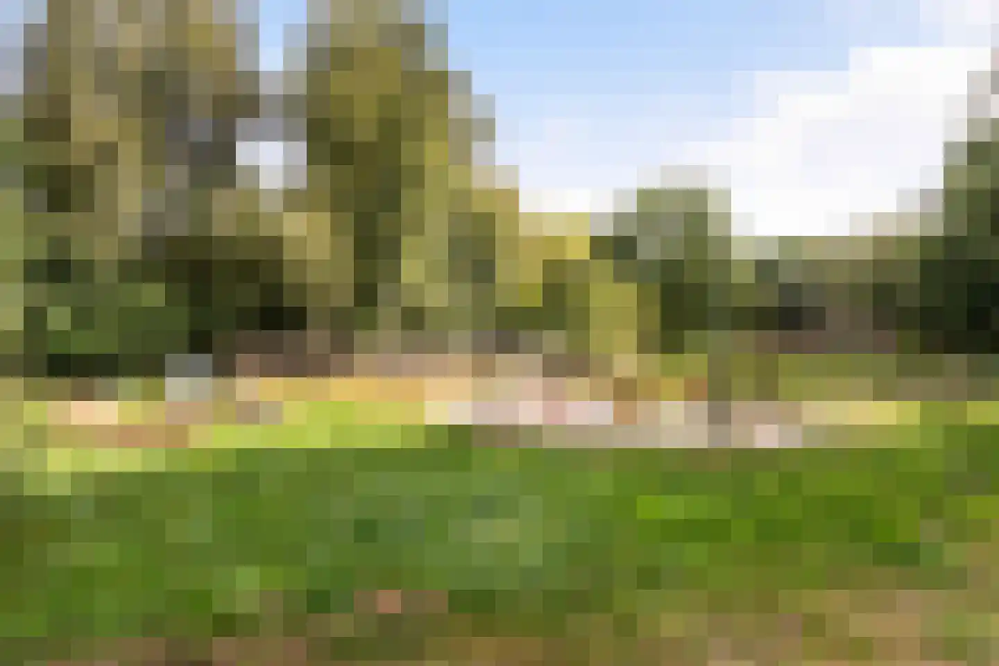 Parallelweg 10 Bellingwolde thumbnail 60