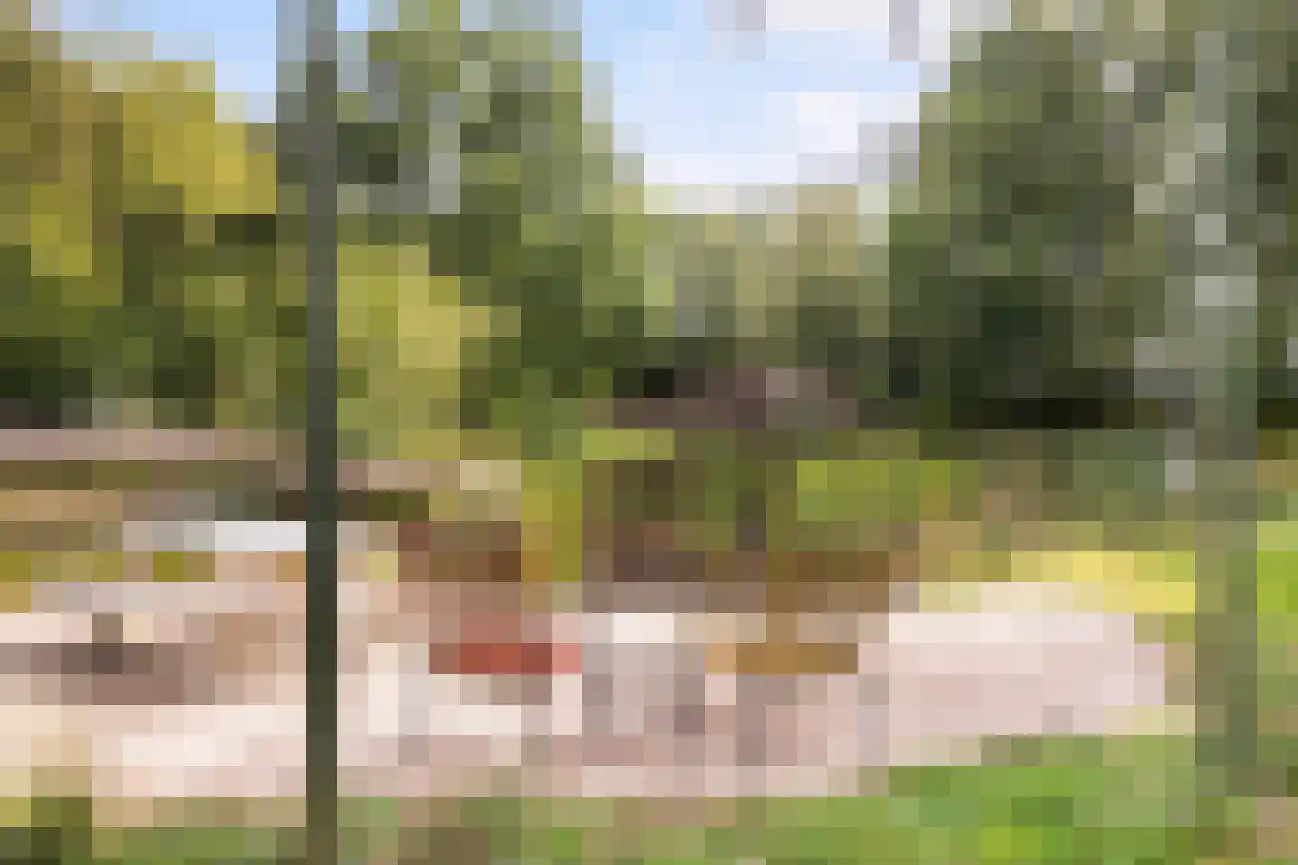 Parallelweg 10 Bellingwolde thumbnail 61