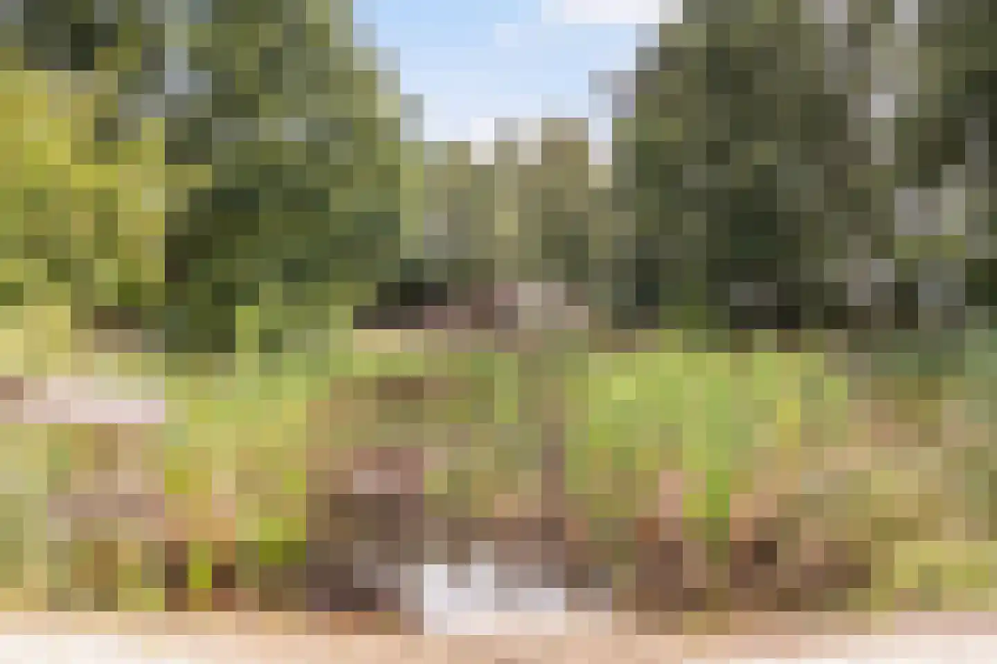 Parallelweg 10 Bellingwolde thumbnail 62