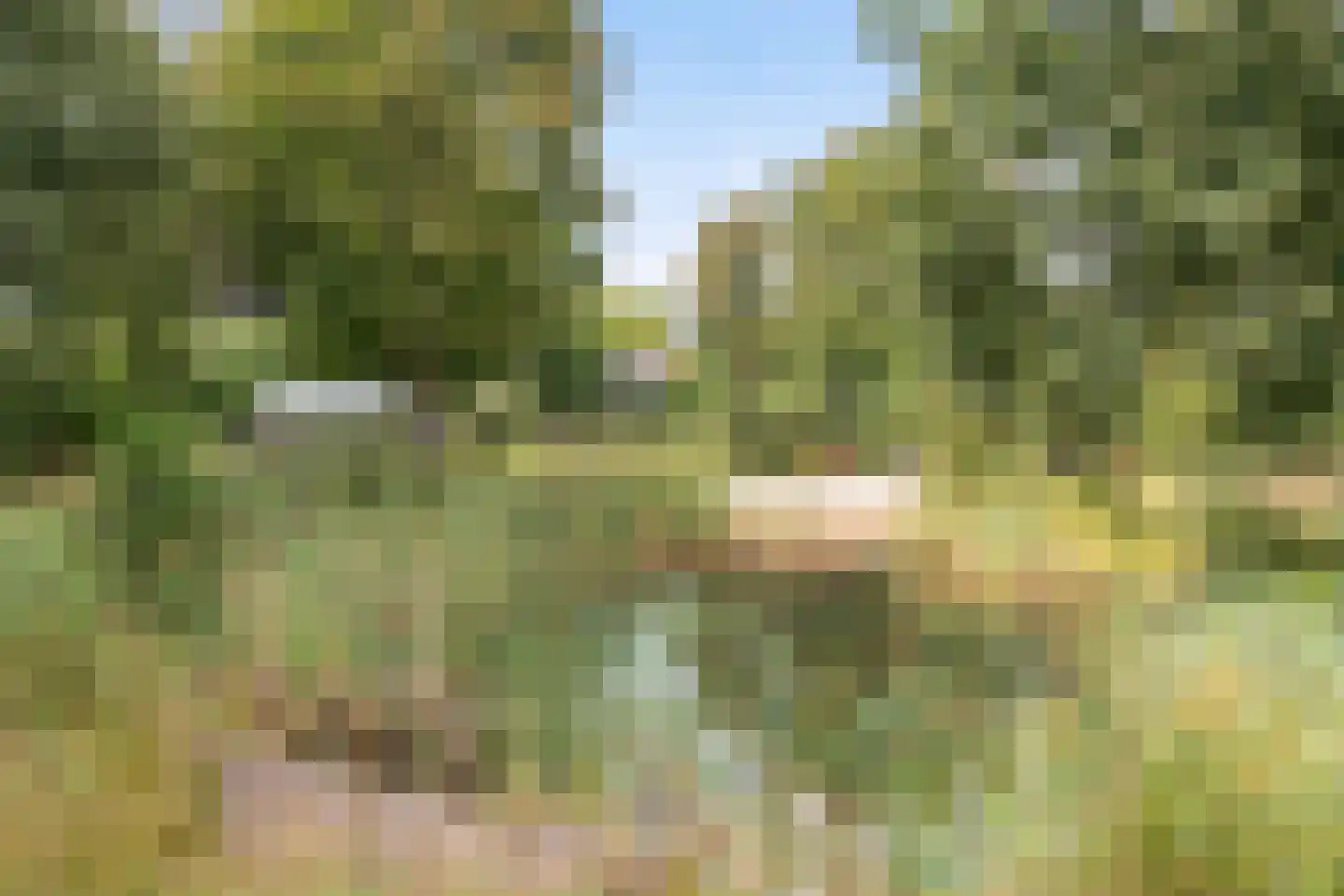 Parallelweg 10 Bellingwolde thumbnail 63