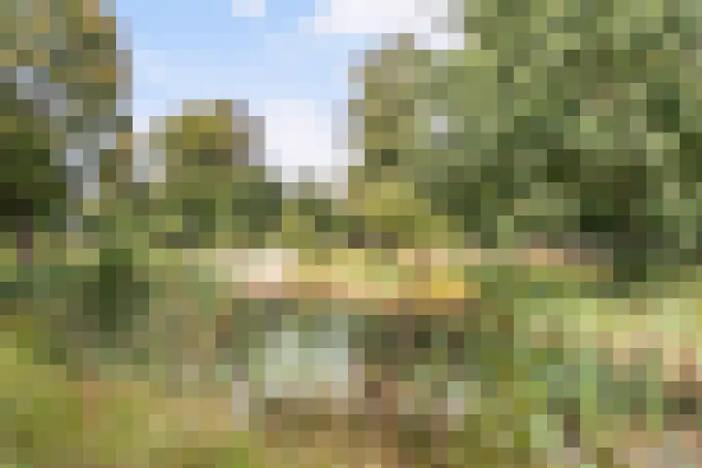 Parallelweg 10 Bellingwolde thumbnail 64