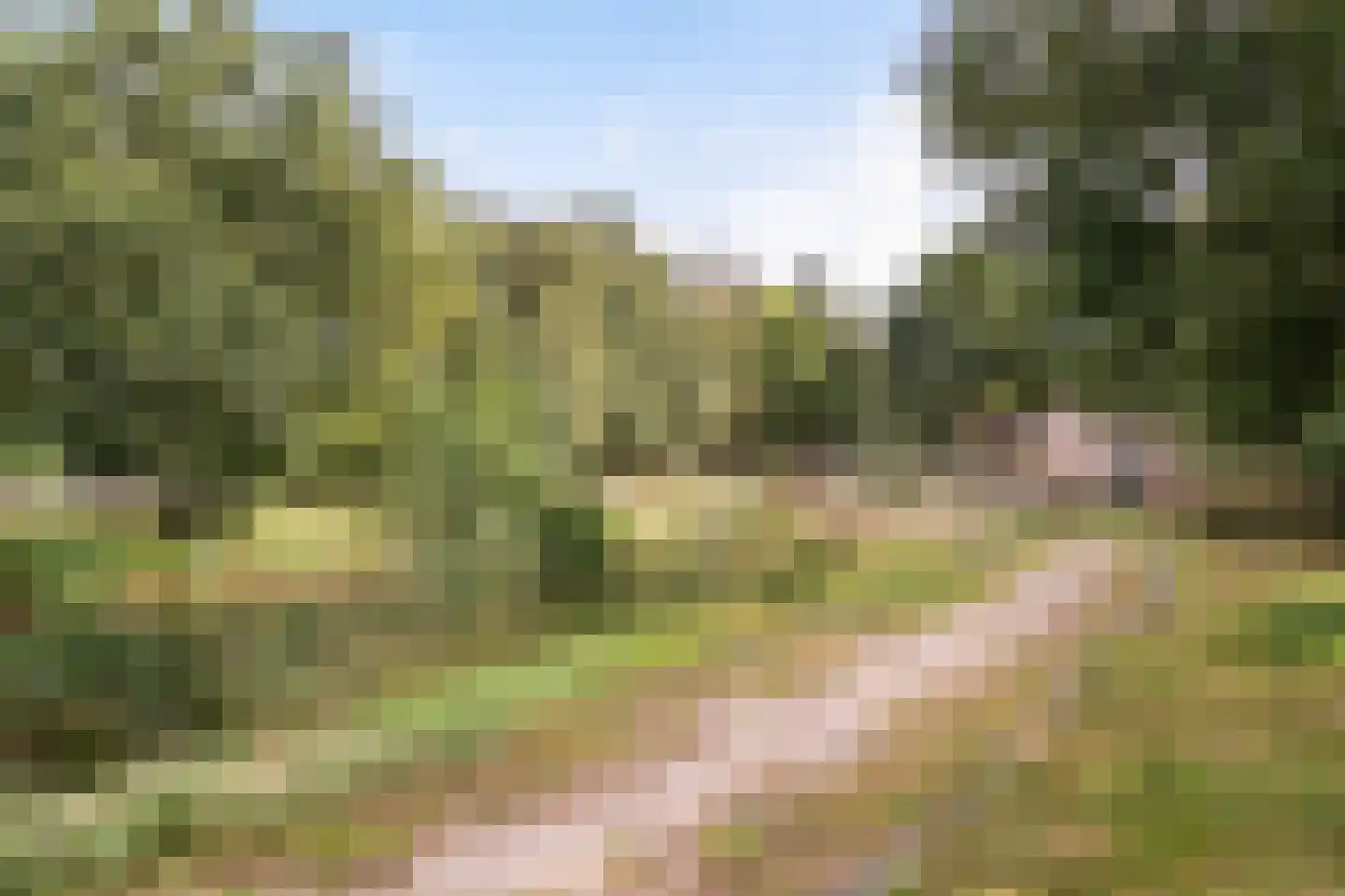 Parallelweg 10 Bellingwolde thumbnail 66