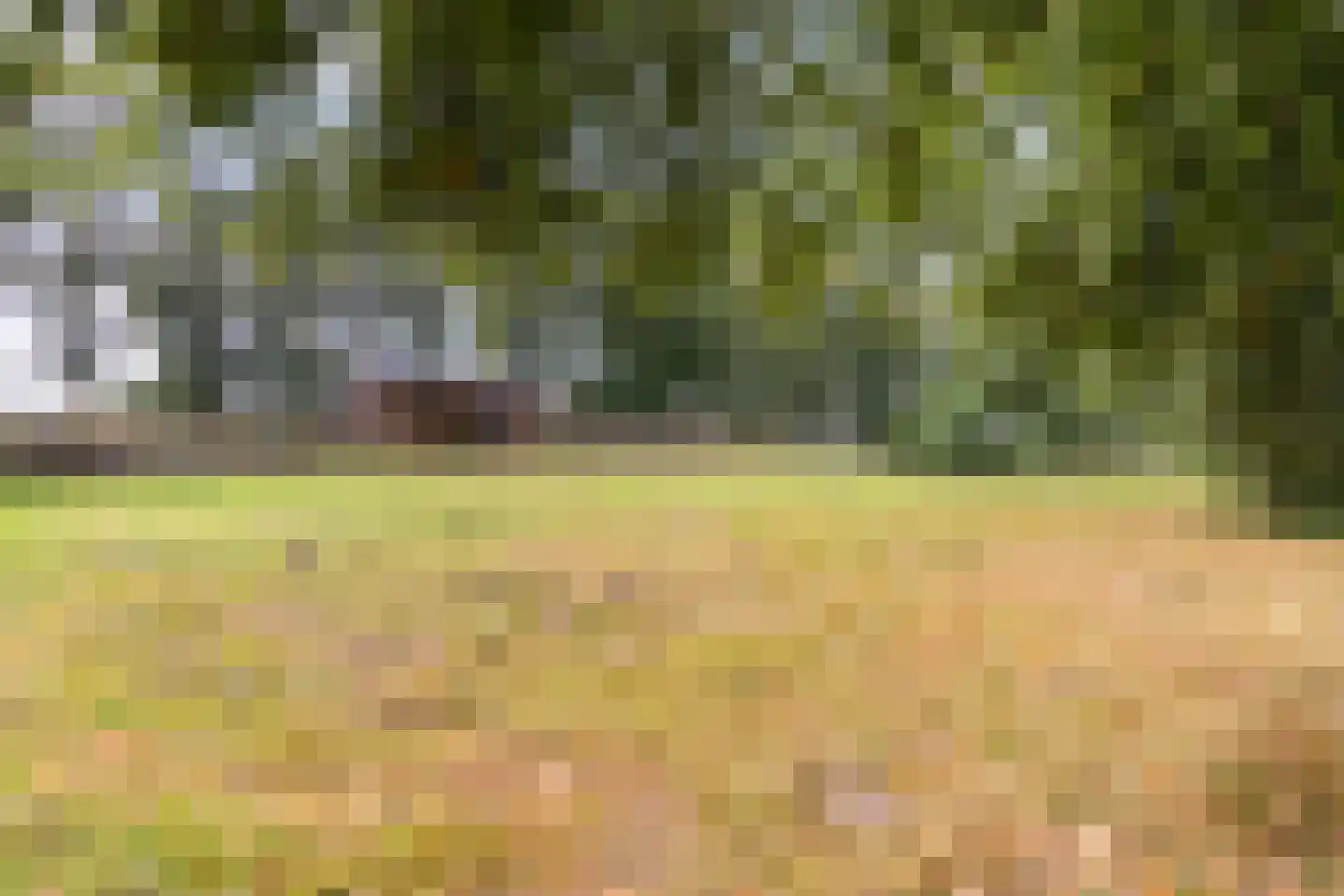 Parallelweg 10 Bellingwolde thumbnail 67