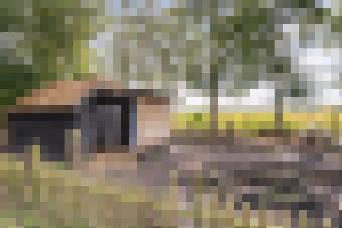 Parallelweg 10 Bellingwolde thumbnail 69