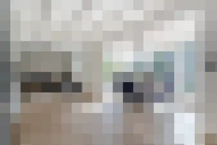 Parallelweg 10 Nieuwendijk thumbnail 15