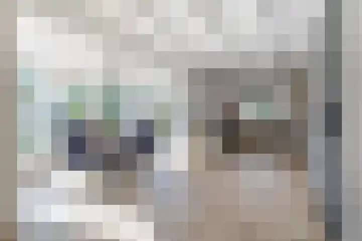 Parallelweg 10 Nieuwendijk thumbnail 19