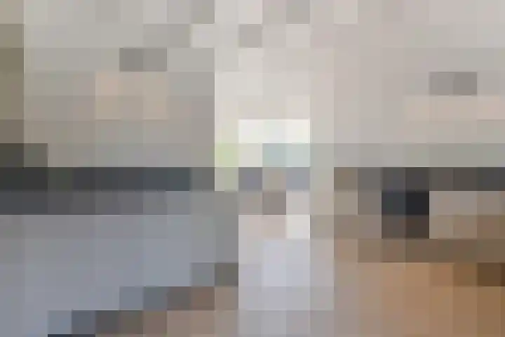 Parallelweg 10 Nieuwendijk thumbnail 21