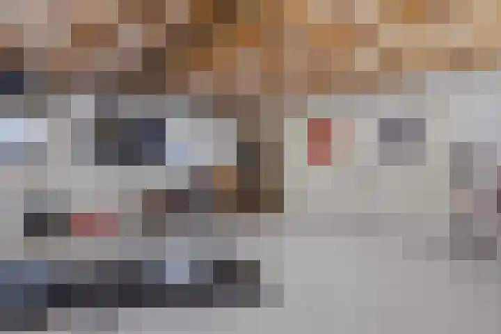 Parallelweg 10 Nieuwendijk thumbnail 27