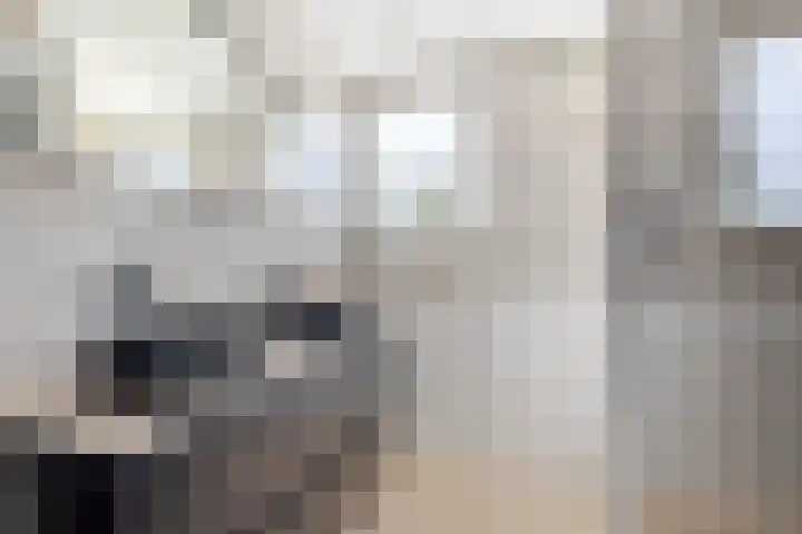 Parallelweg 10 Nieuwendijk thumbnail 32