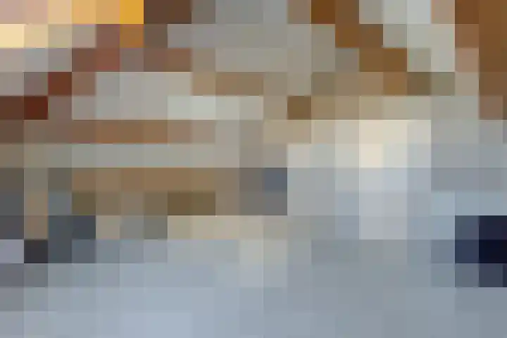 Parallelweg 10 Nieuwendijk thumbnail 40