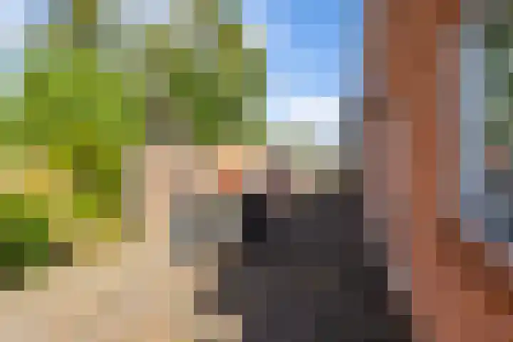 Parallelweg 10 Nieuwendijk thumbnail 41