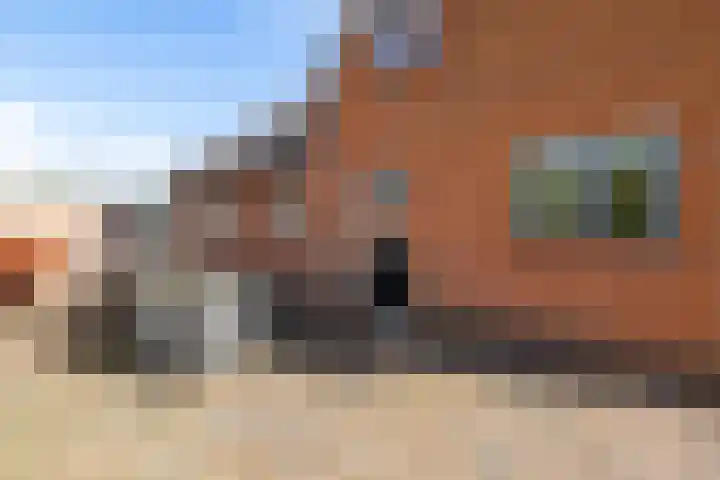 Parallelweg 10 Nieuwendijk thumbnail 42