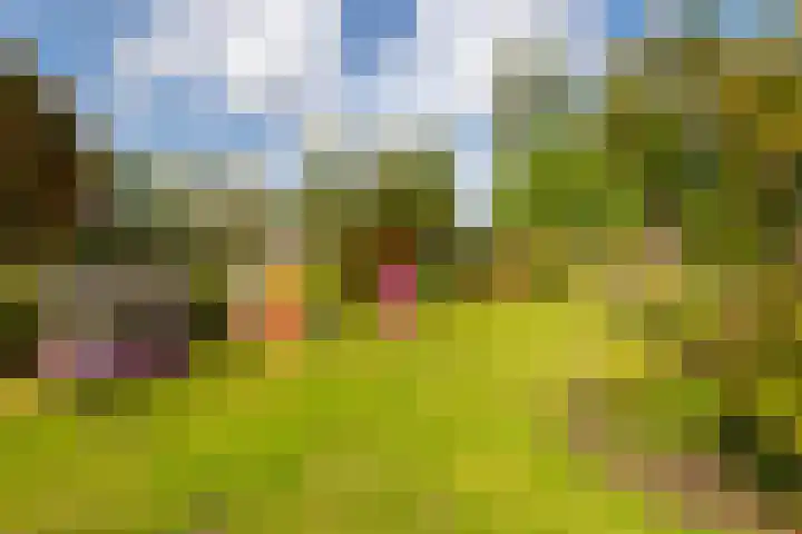 Parallelweg 10 Nieuwendijk thumbnail 45