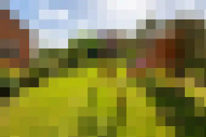 Parallelweg 10 Nieuwendijk thumbnail 46