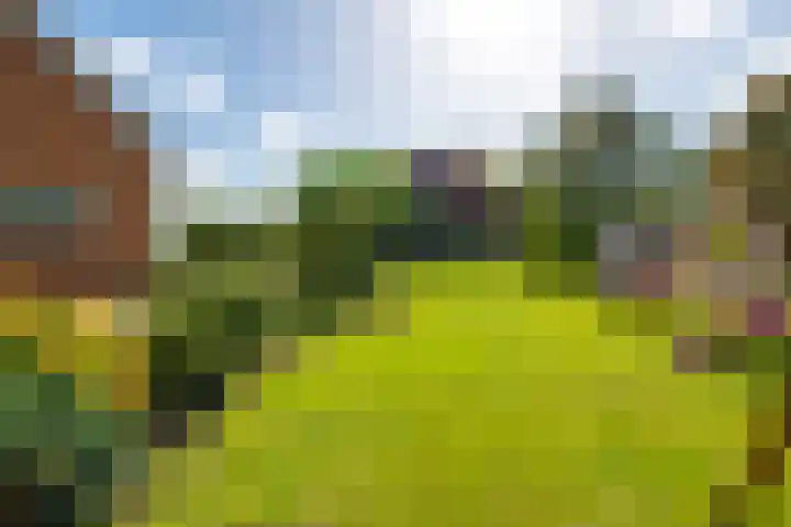 Parallelweg 10 Nieuwendijk thumbnail 47
