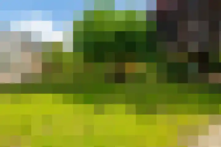 Parallelweg 10 Nieuwendijk thumbnail 49