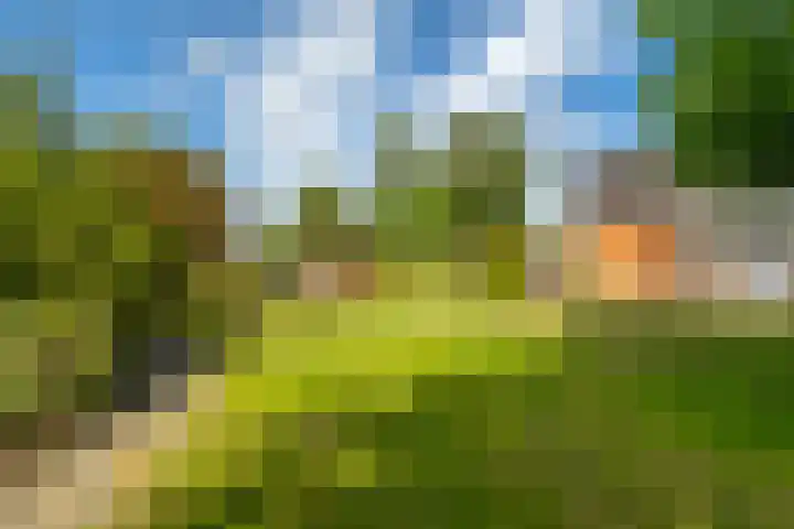 Parallelweg 10 Nieuwendijk thumbnail 50