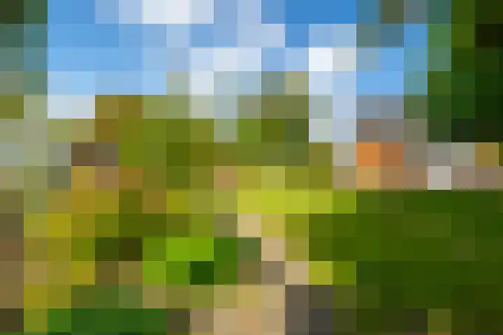 Parallelweg 10 Nieuwendijk thumbnail 51