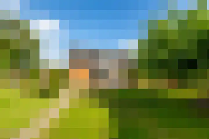 Parallelweg 10 Nieuwendijk thumbnail 52