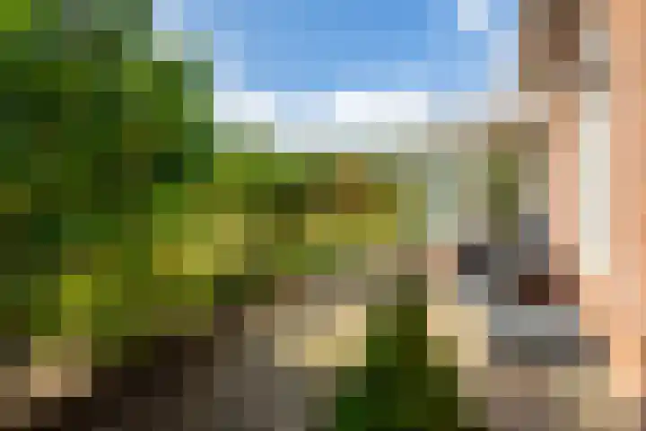 Parallelweg 10 Nieuwendijk thumbnail 53