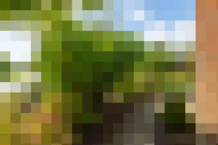 Parallelweg 10 Nieuwendijk thumbnail 54