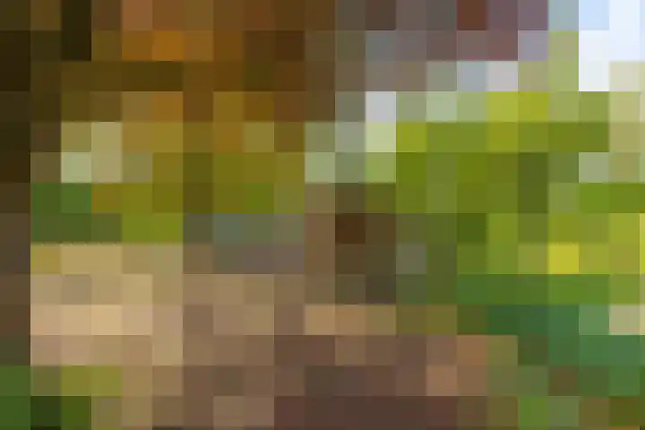 Parallelweg 10 Nieuwendijk thumbnail 56