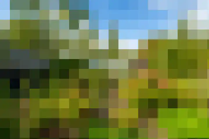 Parallelweg 10 Nieuwendijk thumbnail 57