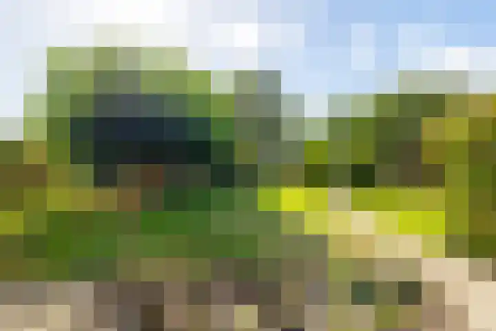 Parallelweg 10 Nieuwendijk thumbnail 58