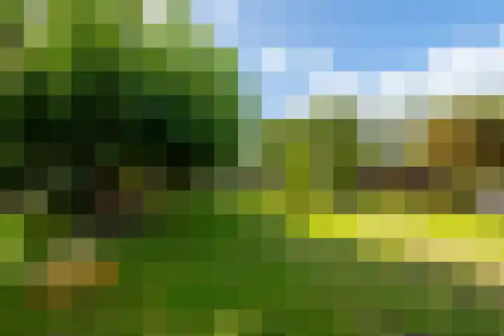Parallelweg 10 Nieuwendijk thumbnail 59