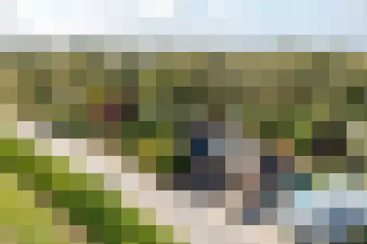 Parallelweg 10 Nieuwendijk thumbnail 60