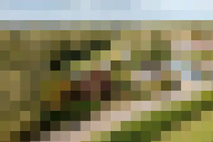 Parallelweg 10 Nieuwendijk thumbnail 61