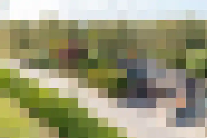 Parallelweg 10 Nieuwendijk thumbnail 62